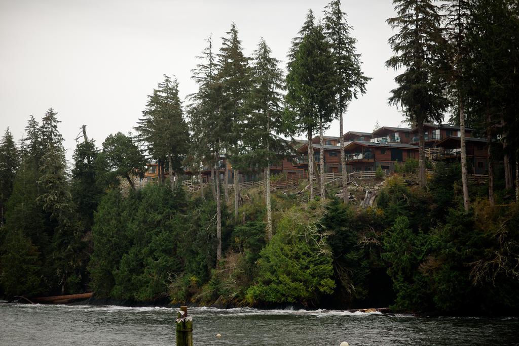 Fish Tales Cottage Port Renfrew Exterior photo
