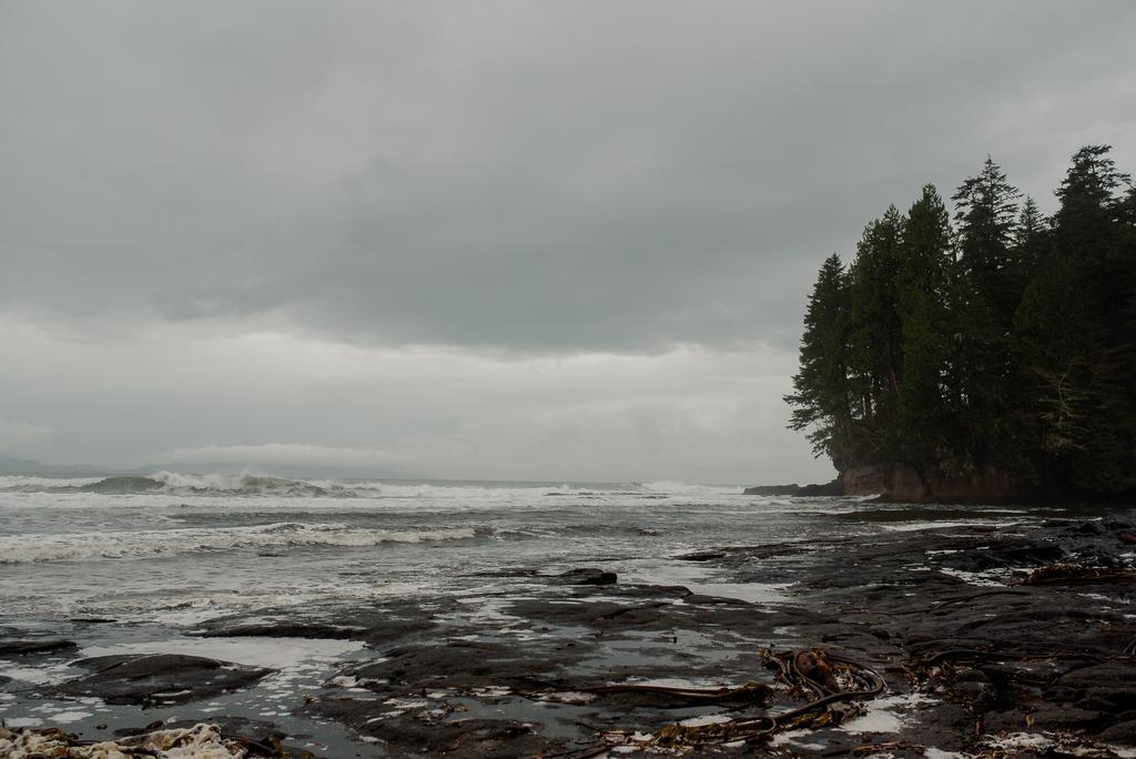 Fish Tales Cottage Port Renfrew Exterior photo
