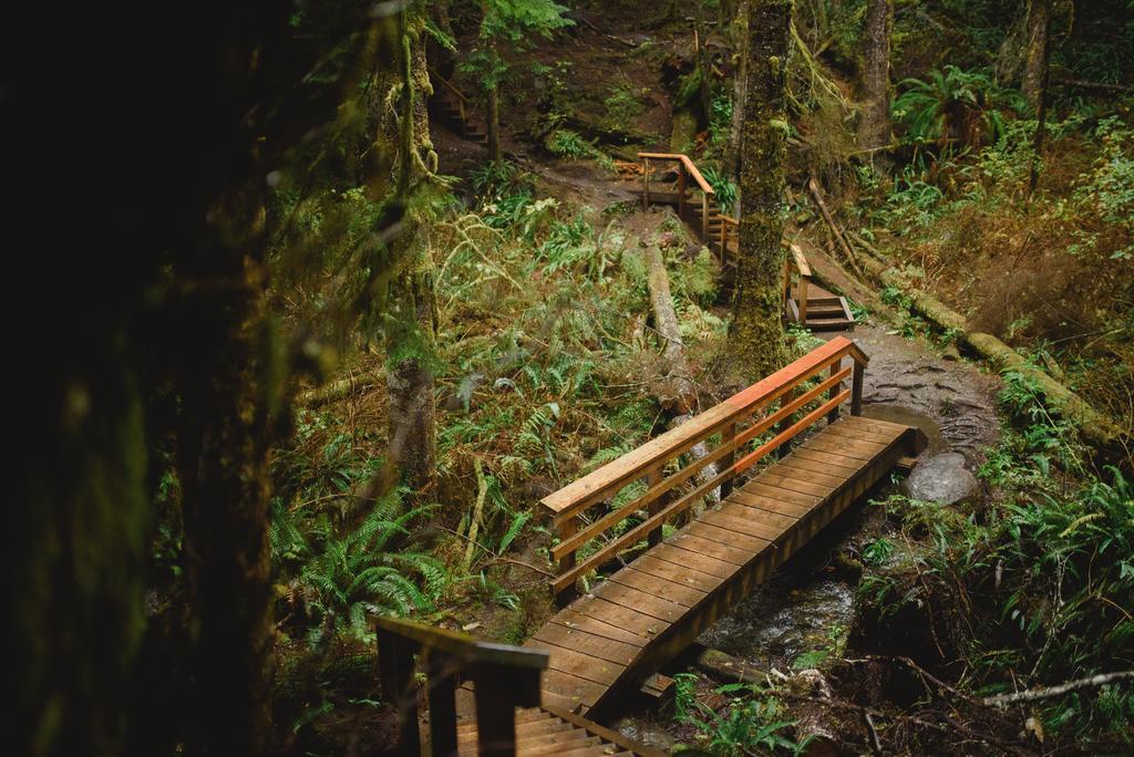 Fish Tales Cottage Port Renfrew Exterior photo